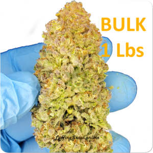 Freeze Dry (Bulk 1 Lbs)